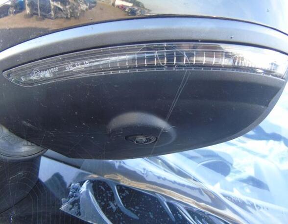 Wing (Door) Mirror RENAULT CLIO V (B7_)