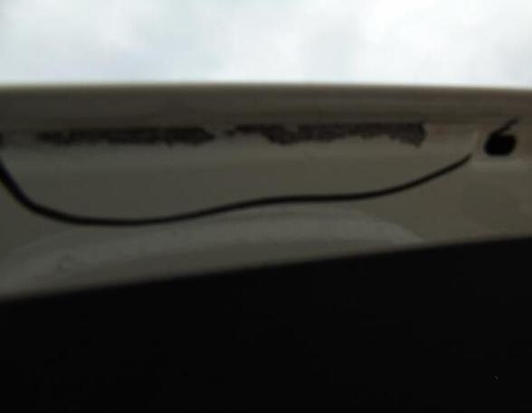 Boot (Trunk) Lid FIAT GRANDE PUNTO (199_), FIAT PUNTO EVO (199_), FIAT PUNTO (199_)