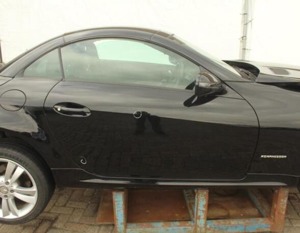 Door MERCEDES-BENZ SLK (R171)