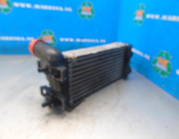 Intercooler FORD FOCUS III