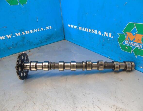 Camshaft TOYOTA RAV 4 III (_A3_)