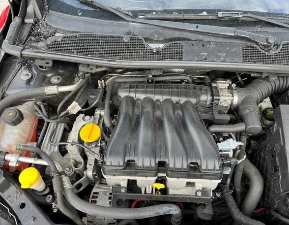 Bare Engine RENAULT MEGANE III Hatchback (BZ0/1_, B3_)