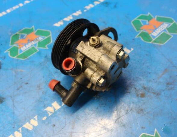 Power steering pump CHEVROLET Aveo/Kalos Schrägheck (T250, T255)