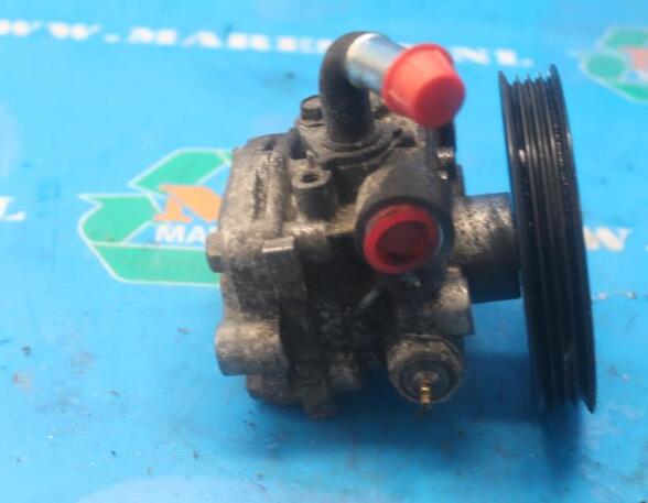 Power steering pump SUZUKI Grand Vitara II (JT, TD, TE)