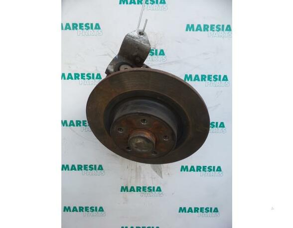 Stub Axle RENAULT VEL SATIS (BJ0_)