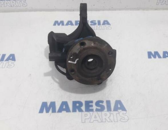 Stub Axle CITROËN C3 II (SC), CITROËN DS3 (--)