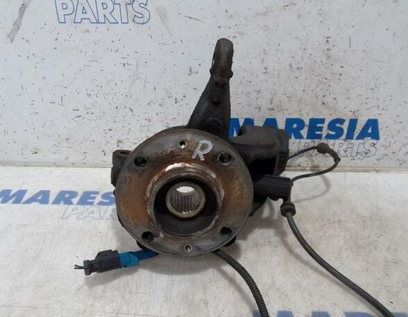 Stub Axle CITROËN C3 II (SC), CITROËN DS3 (--)