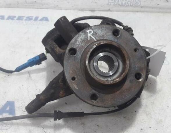 Stub Axle PEUGEOT 207 (WA, WC)