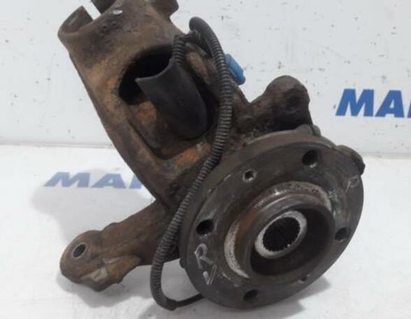 Stub Axle PEUGEOT 207 SW (WK)