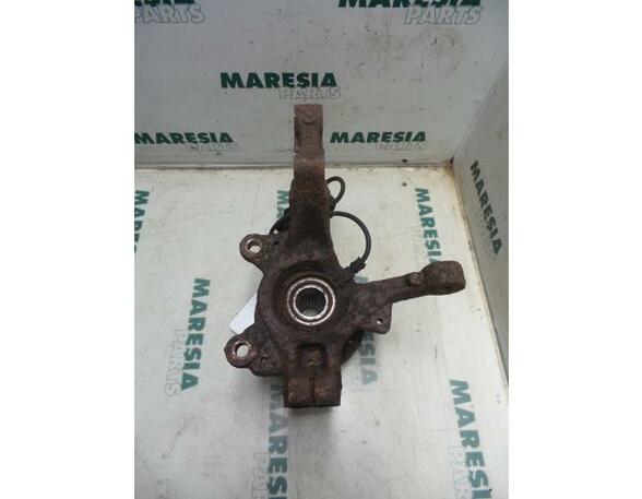 Stub Axle RENAULT Clio III (BR0/1, CR0/1)