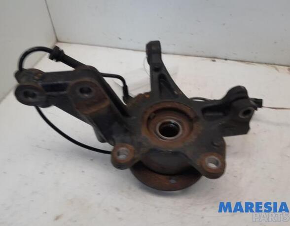 Stub Axle RENAULT ZOE (BFM_)