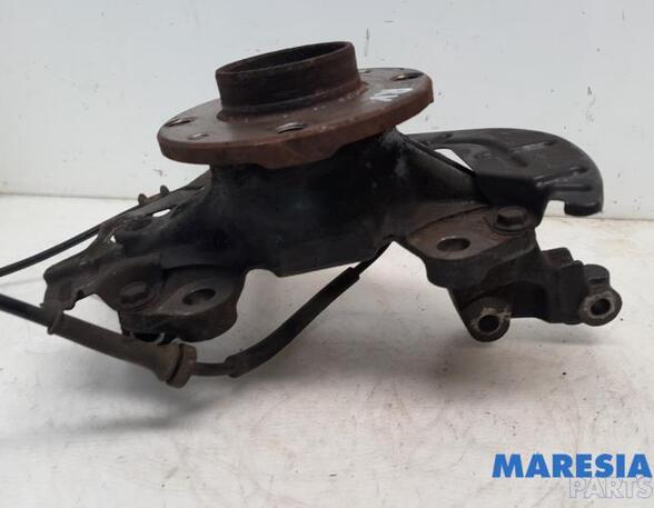 Stub Axle FIAT PANDA (312_, 319_), LANCIA YPSILON (312_), FIAT PANDA VAN (312_, 519_), FIAT 500 (312_)