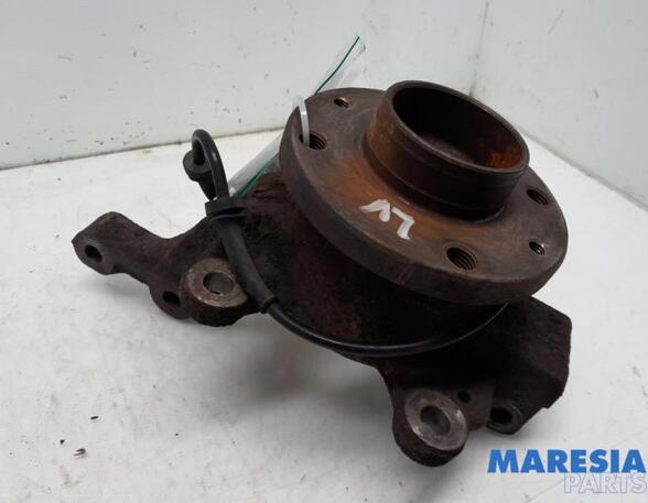 Stub Axle RENAULT CLIO III (BR0/1, CR0/1)