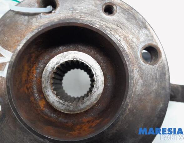 Stub Axle RENAULT CLIO III (BR0/1, CR0/1)