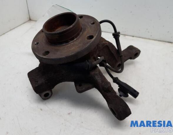 Stub Axle RENAULT CLIO III (BR0/1, CR0/1)