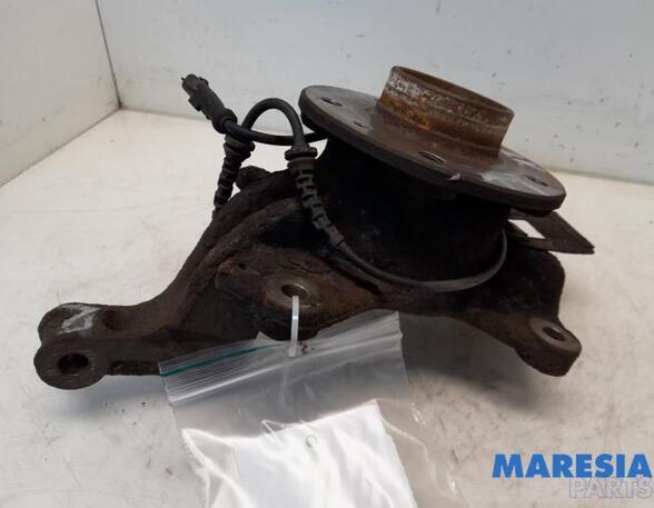 Stub Axle RENAULT SCÉNIC III (JZ0/1_)