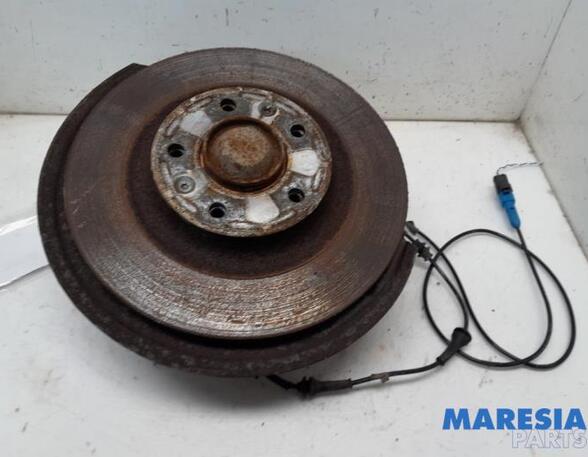 Stub Axle PEUGEOT 407 SW (6E_), PEUGEOT 508 SW I (8E_), CITROËN C5 III (RD_), PEUGEOT 407 (6D_)