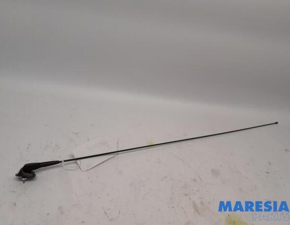 Antenne Dach Peugeot 107  6561EA P21186360