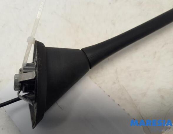 Antenne FIAT PANDA (312_, 319_), FIAT PANDA VAN (312_, 519_), FIAT 500 (312_), FIAT 500 C (312_)