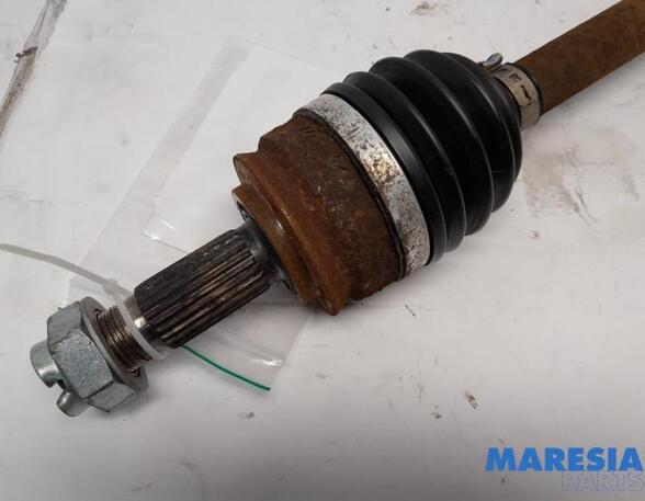 Drive Shaft FIAT PANDA (312_, 319_), FIAT PANDA VAN (312_, 519_)