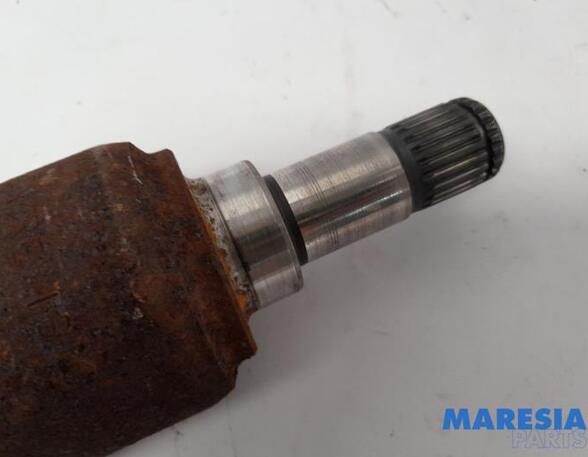 Drive Shaft FIAT PANDA (312_, 319_), LANCIA YPSILON (312_), FIAT PANDA VAN (312_, 519_)