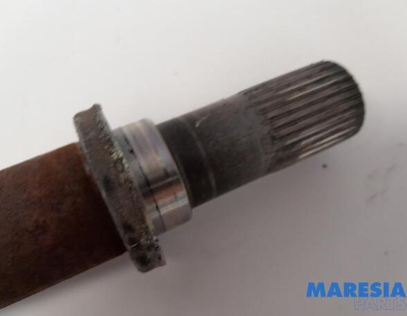 Drive Shaft RENAULT SCÉNIC III (JZ0/1_), RENAULT GRAND SCÉNIC III (JZ0/1_)