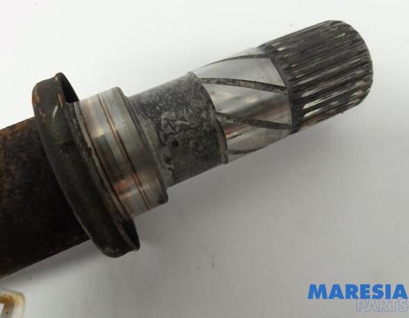 Drive Shaft RENAULT SCÉNIC III (JZ0/1_)