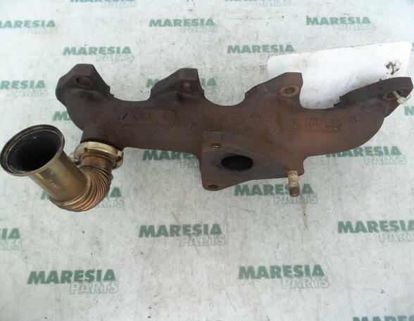 Exhaust Manifold RENAULT Clio II (BB, CB)