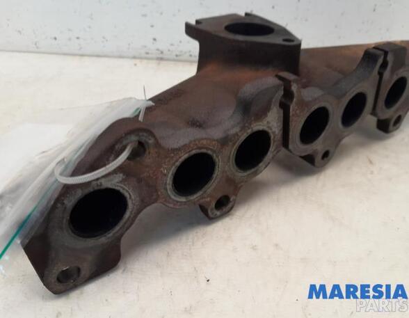 Exhaust Manifold FIAT SCUDO Van (270_, 272_), FIAT SCUDO Bus (270_, 272_), CITROËN C4 I (LC_), PEUGEOT 307 SW (3H)