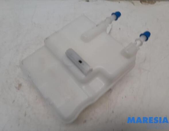 Brake Fluid Expansion Tank RENAULT Zoe (BFM)