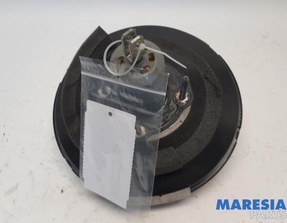 Brake Booster PEUGEOT 3008 MPV (0U_), CITROËN C4 II (B7), PEUGEOT 508 I (8D_), PEUGEOT 207 CC (WD_)