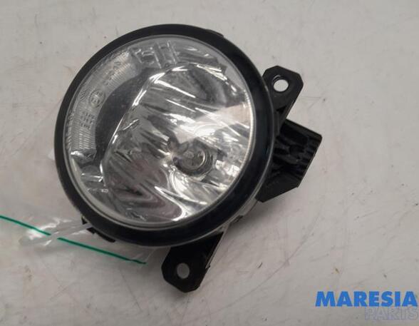 Fog Light FIAT Ducato Kasten (250, 290), FIAT Ducato Bus (250, 290), FIAT Ducato Kasten (250)