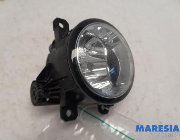 Mistlamp FIAT Ducato Kasten (250, 290), FIAT Ducato Bus (250, 290), FIAT Ducato Kasten (250)