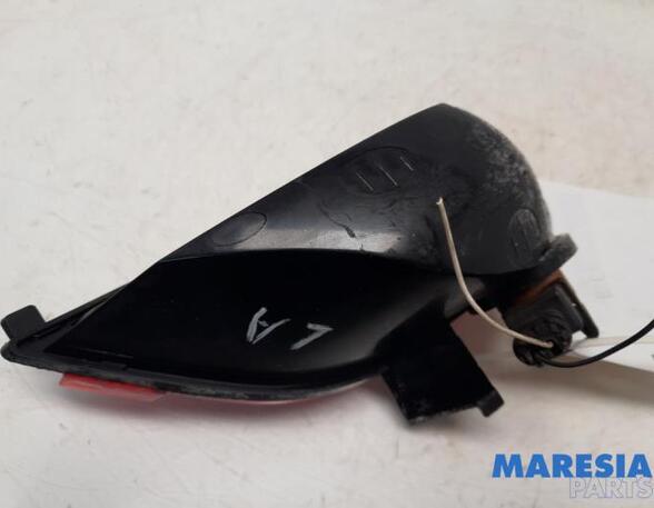 Rear Fog Light RENAULT SCÉNIC III (JZ0/1_)