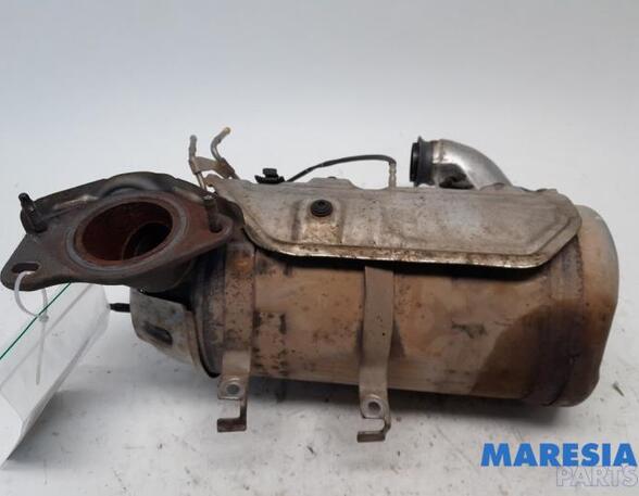 Diesel Particulate Filter (DPF) RENAULT KANGOO Express (FW0/1_)