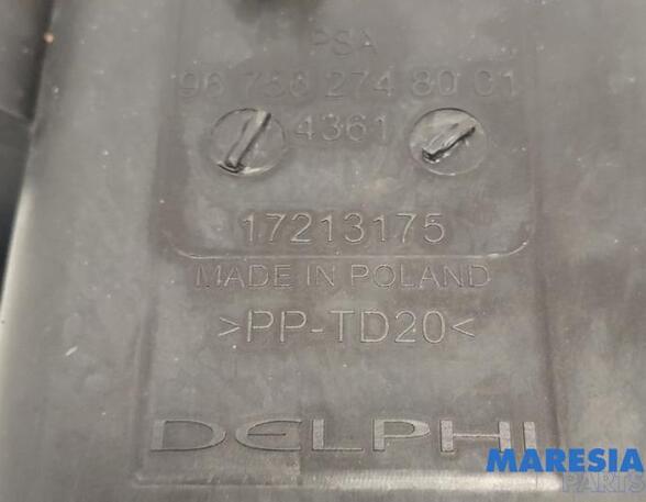 Diesel Particulate Filter (DPF) CITROËN C4 GRAND PICASSO II (DA_, DE_)