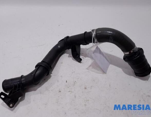 Wiring Harness RENAULT Trafic III Kasten (FG)