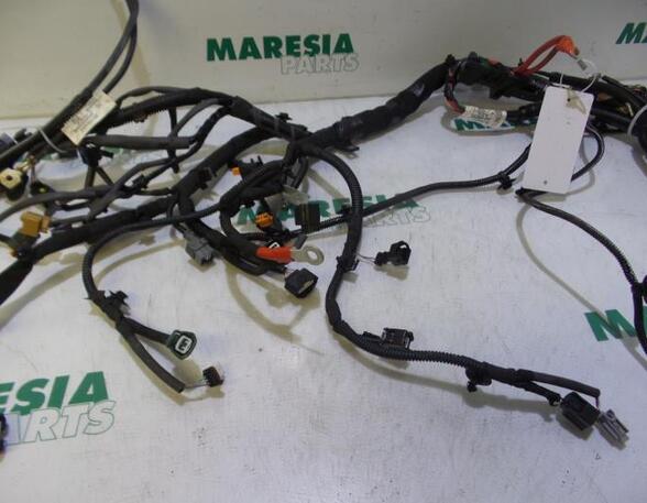 Wiring Harness RENAULT CAPTUR I (J5_, H5_), RENAULT CLIO IV (BH_)