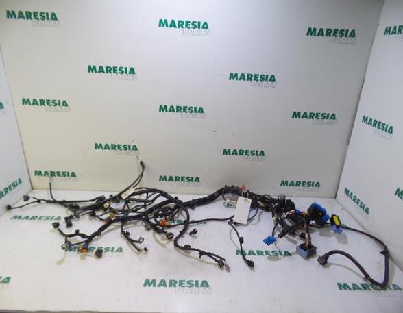 Wiring Harness RENAULT CAPTUR I (J5_, H5_), RENAULT CLIO IV (BH_)