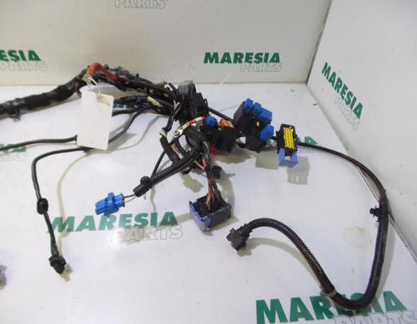 Wiring Harness RENAULT CAPTUR I (J5_, H5_), RENAULT CLIO IV (BH_)