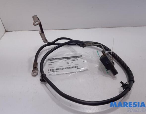 Sensor Citroen C5 III RD 9664448980 P20075476