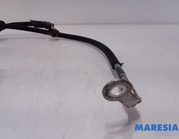 Sensor Citroen C3 III SX 9814740480 P20056103