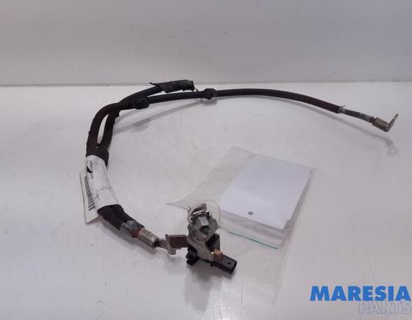 Sensor Citroen C3 III SX 9814740480 P20056103