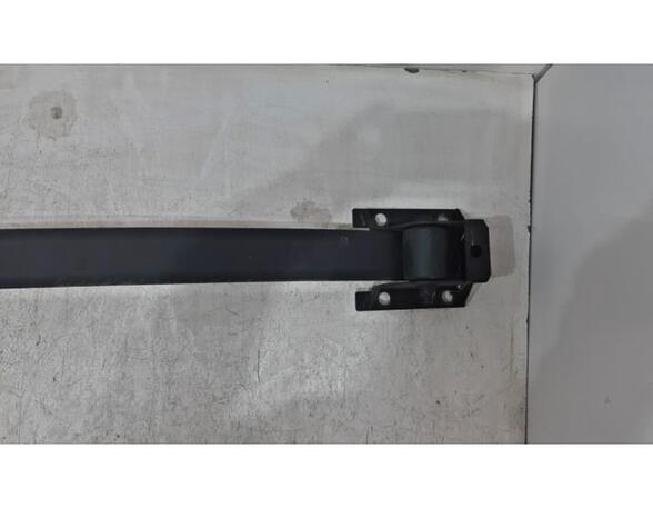 Leaf Springs RENAULT Master III Kasten (FV)