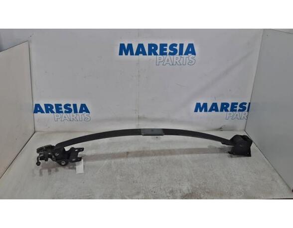 Leaf Springs RENAULT Master III Kasten (FV)