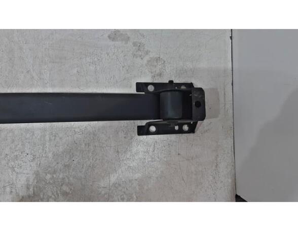 Leaf Springs RENAULT Master III Kasten (FV)