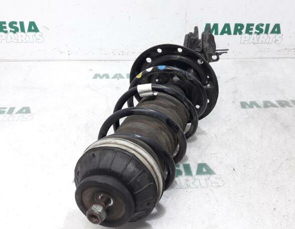 Suspension Strut FIAT Panda (312, 319)