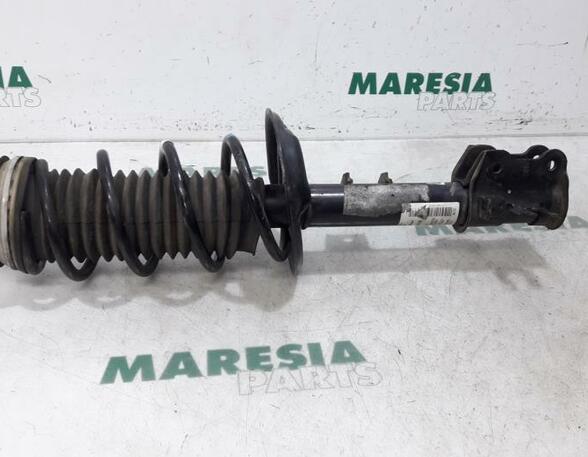 Suspension Strut FIAT Panda (312, 319)