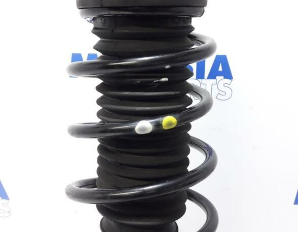 Suspension Strut FIAT Punto (199)