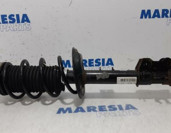 Suspension Strut FIAT Panda (312, 319)